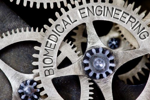 The 5 Best Doctor of Biomedical Engineering (BME Ph.D.) Degree Programs in  2021 Online PhD Degrees