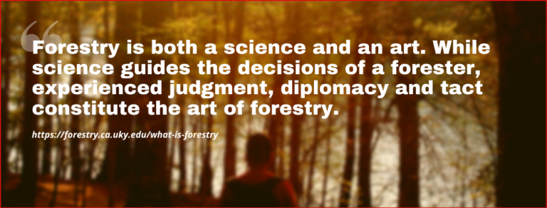 learn-about-forestry-careers-online-phd-degrees