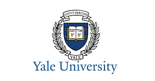 yale literature phd program